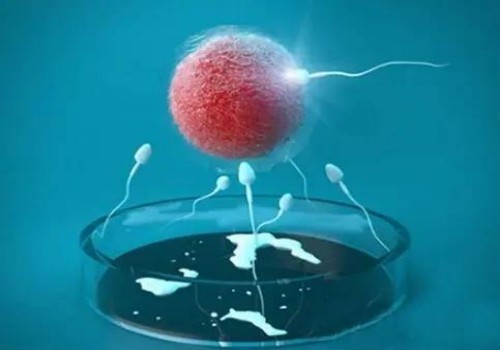 杭州试管机构包男孩：﻿怀孕15周出现褐色分泌物是什么原因，如何避免?