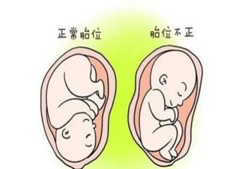 杭州试管代怀生子：﻿石斛的作用与功效有哪些,什么样的人不适合吃石斛