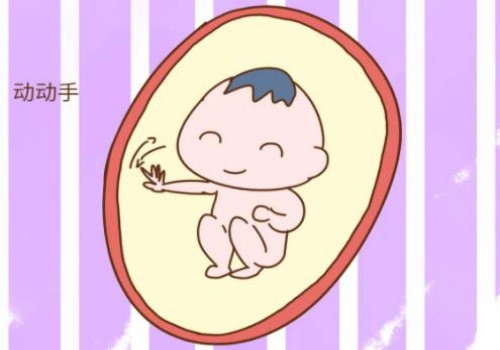 杭州代生男孩：﻿试管婴儿一次成功虽有难度，把握这四点有望提高成功率
