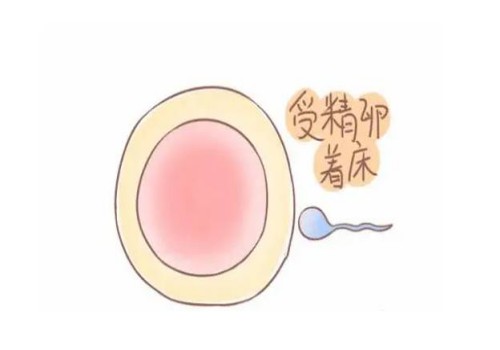 杭州代怀：﻿黄河三门峡医院试管婴儿医疗团队介绍，内附成功率及其费用明细！